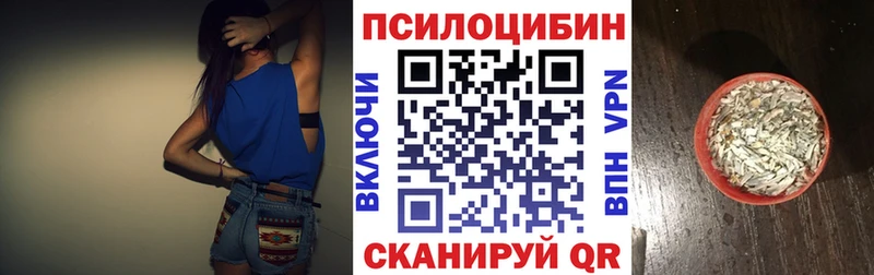 Галлюциногенные грибы MAGIC MUSHROOMS  где можно купить наркотик  Кодинск 